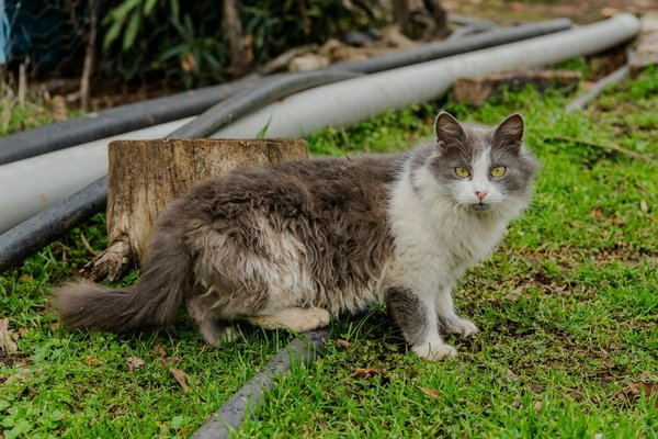 Crafting Your Ideal Self-Care Blueprint: Boost Your Mental Wellness with Proven Strategies